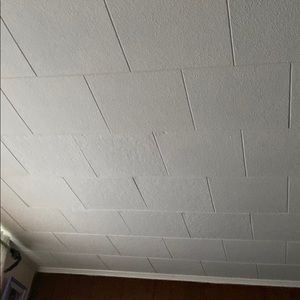 Meet your Posher, Marva